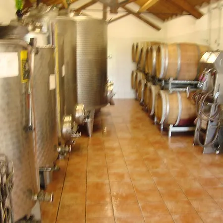 Farm stay Pian Del Gallo